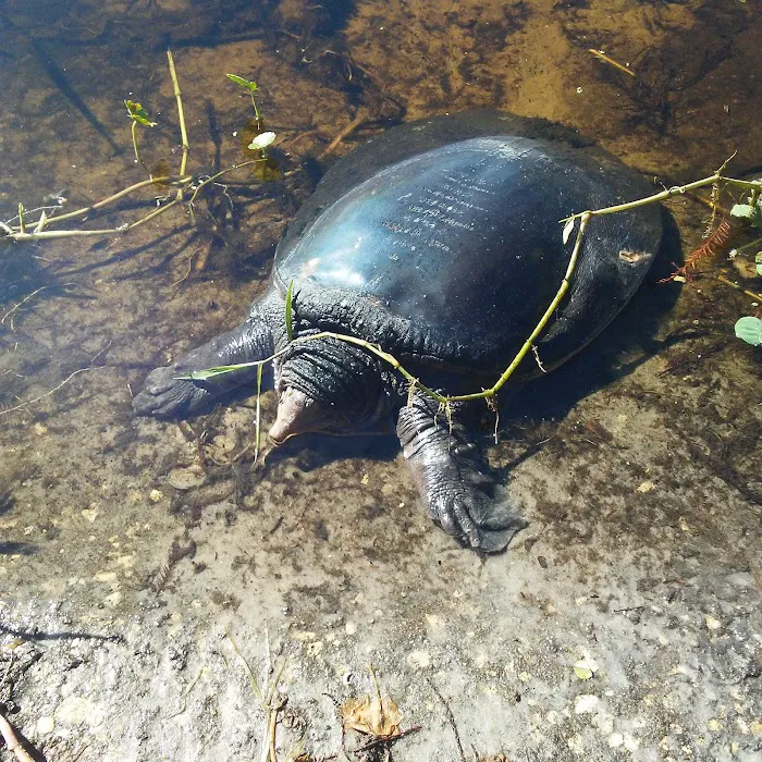 Lakeview Terrace Picture 10