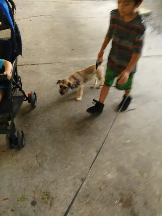 Town & Country RV & Mobile Picture 6