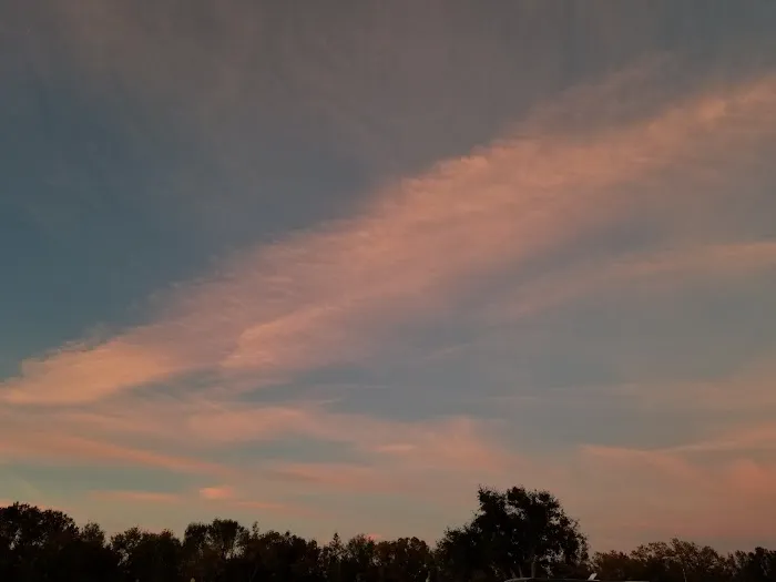 Southern Oaks RV Resort Picture 9