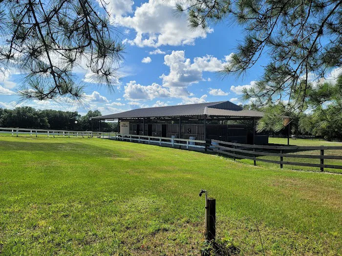 Grand Oaks RV Resort Picture 3