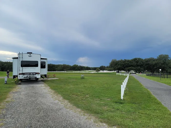 Grand Oaks RV Resort Picture 6