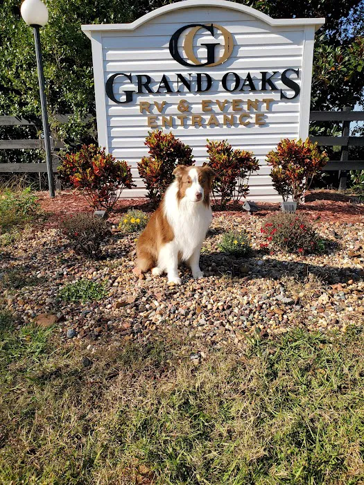 Grand Oaks RV Resort Picture 8