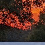 The Village Of Orange Blossom Gardens