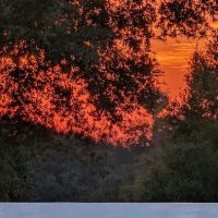 The Village Of Orange Blossom Gardens ico