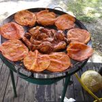 Paradise Mobile Home Park