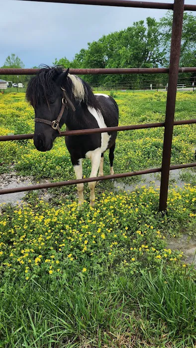 Saline Creek RV Park & Campground Picture 1