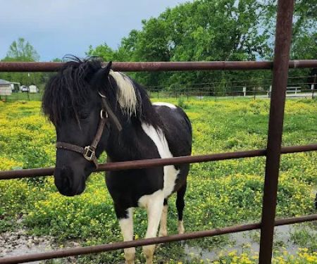 Saline Creek RV Park & Campground