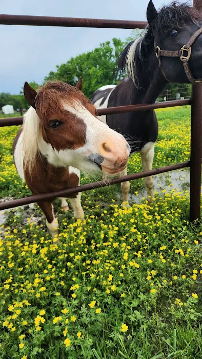 Saline Creek RV Park & Campground Picture 6