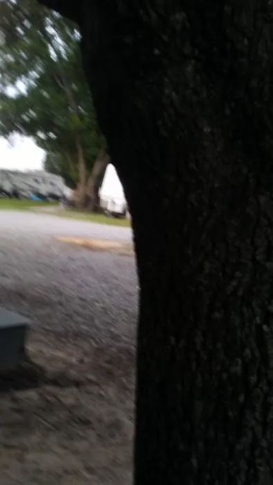 Almost Home RV Park Picture 7