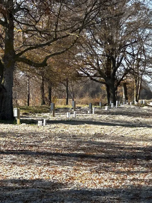 Midway RV Park Picture 8