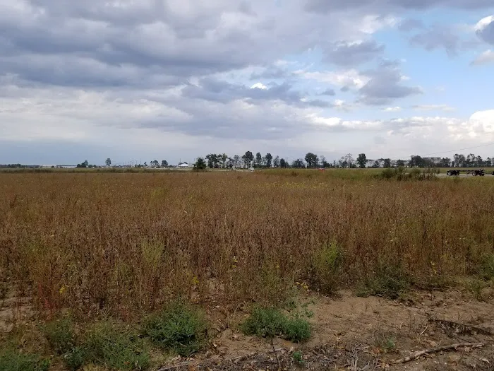 R&M RV Park Picture 5