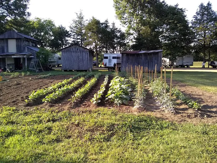 Rone Valley Camping Park Picture 2