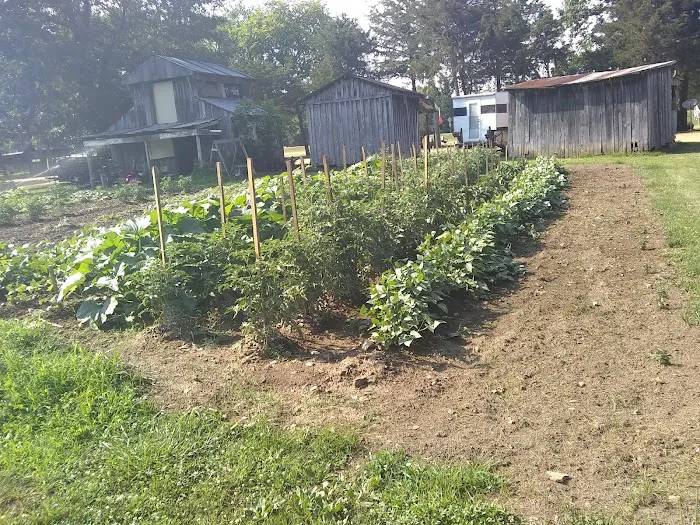 Rone Valley Camping Park Picture 1