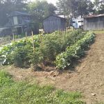 Rone Valley Camping Park