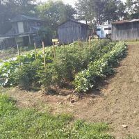 Rone Valley Camping Park ico