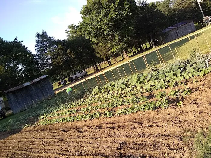 Rone Valley Camping Park Picture 8