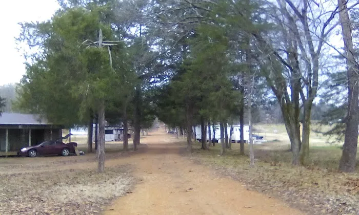 Rone Valley Camping Park Picture 5