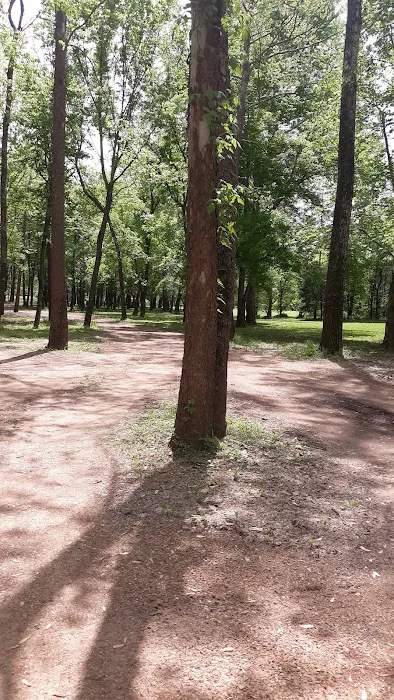 Rone Valley Camping Park Picture 9