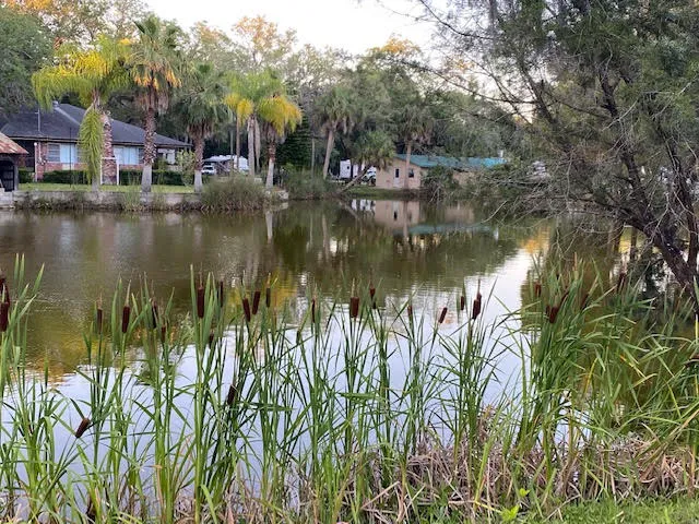 Cedars Lake MH & RV Park Picture 6