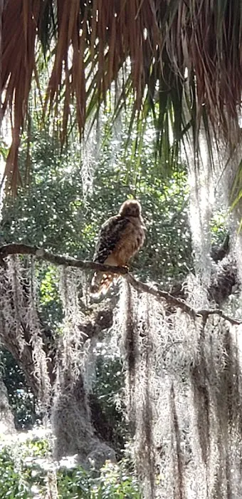 Cedars Lake MH & RV Park Picture 9