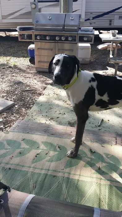 Cedars Lake MH & RV Park Picture 10