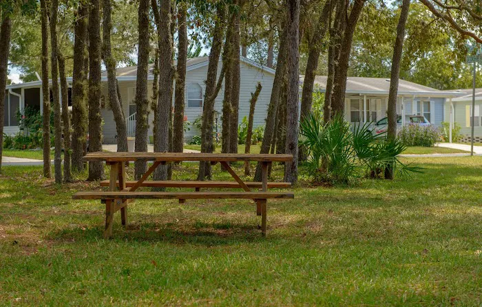 Walden Woods Picture 7