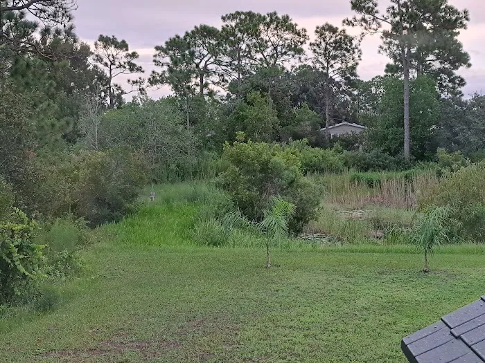 Walden Woods South Picture 7