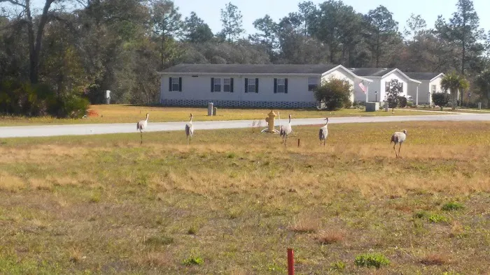 Walden Woods South Picture 10