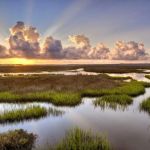 Riverfront RV Park & Marina