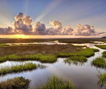 Riverfront RV Park & Marina