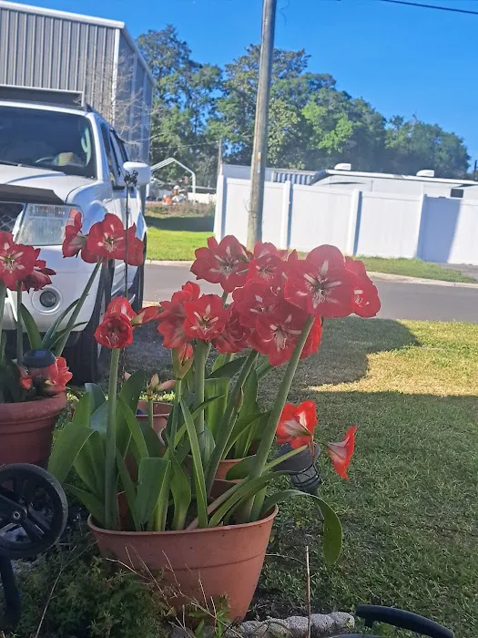 Singleton Mobile Home Park Picture 5