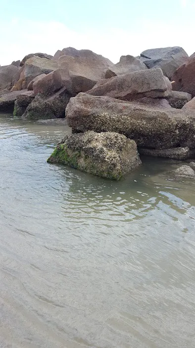 Host at Pelican Cove RV Park Picture 8