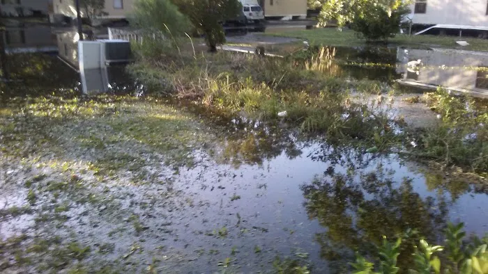 Colerain Oaks Rental Homes Picture 5