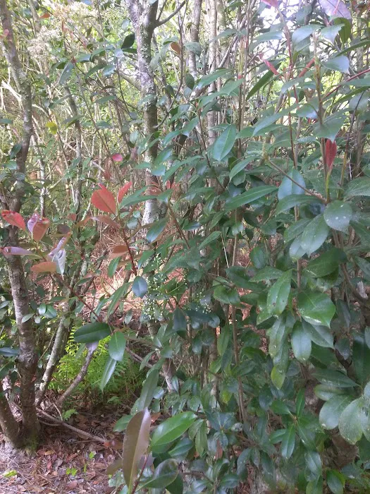 Colerain Oaks Rental Homes Picture 4