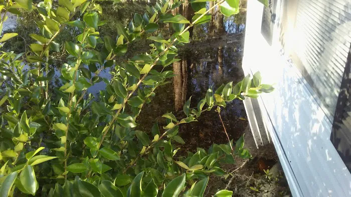 Colerain Oaks Rental Homes Picture 10