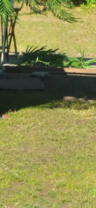 Kiki RV Park Picture 7