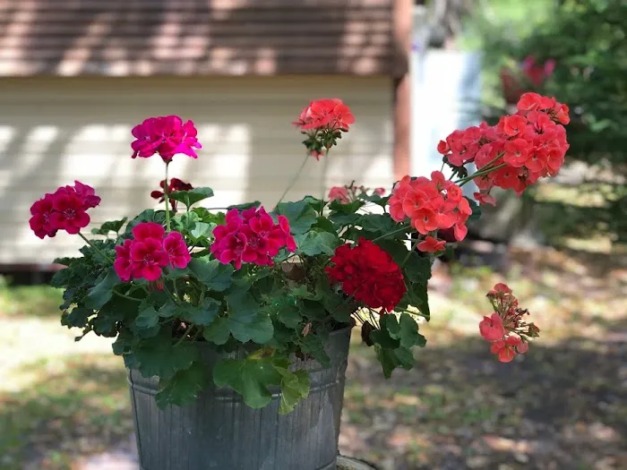 Walkabout Camp & RV Park Picture 3