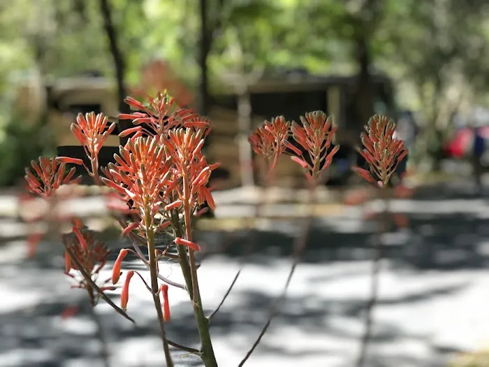 Walkabout Camp & RV Park Picture 6