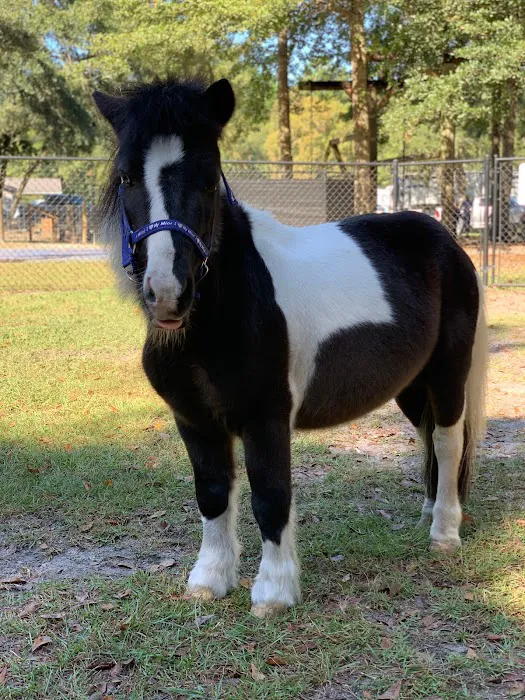 Walkabout Camp & RV Park Picture 9