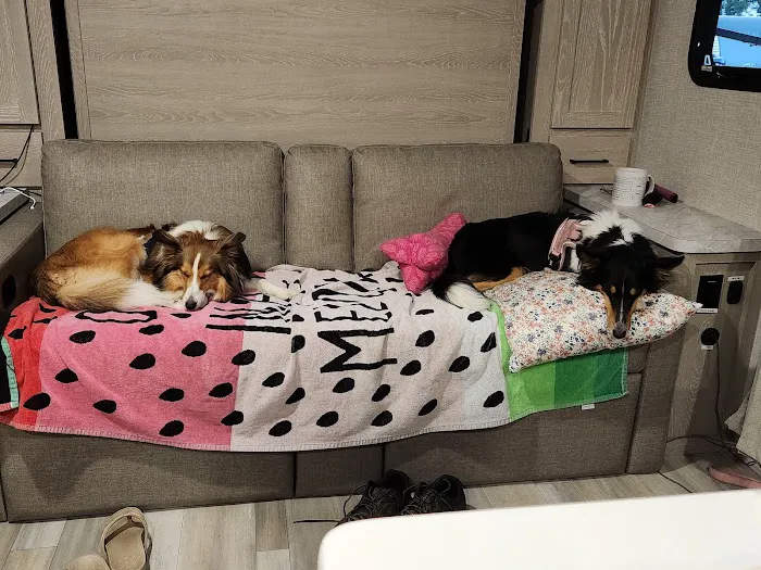 Huck's RV Park Picture 8