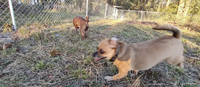 Huck's RV Park Picture 10