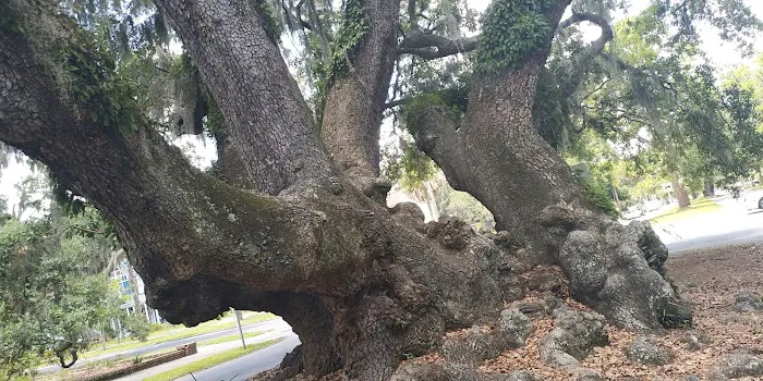 River Oaks Mobile Home Park Picture 5