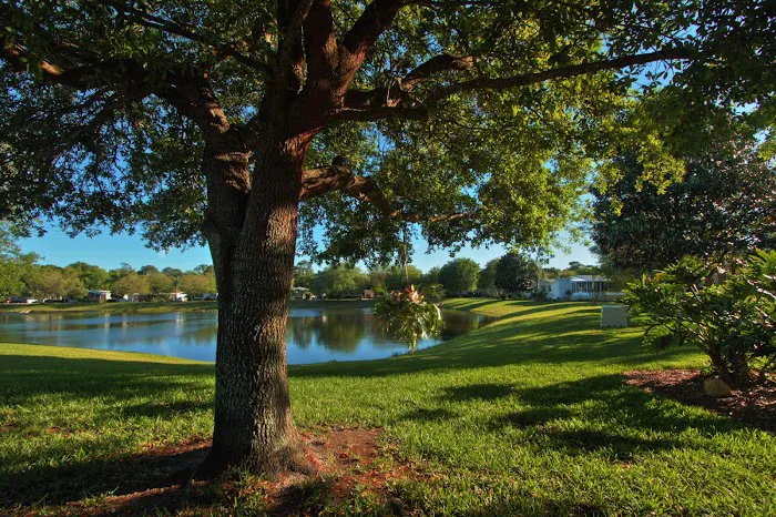 Bear Creek Village Picture 1
