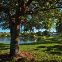 Bear Creek Village ico