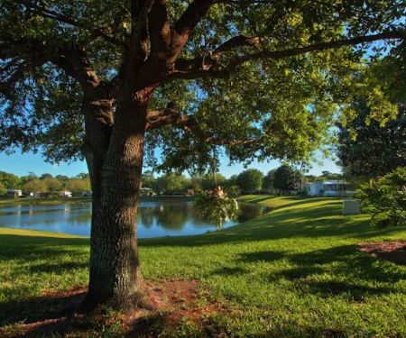 Bear Creek Village