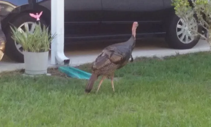 A Better Place Picture 8