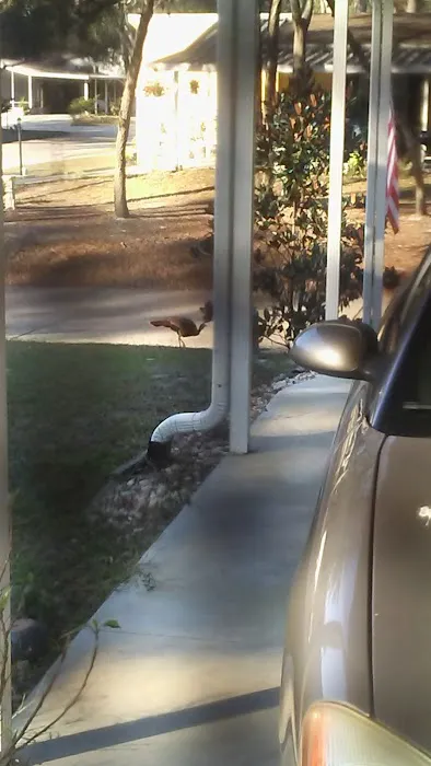 A Better Place Picture 10