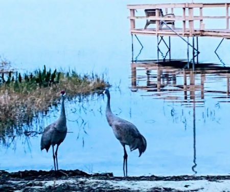 Palm Shores Mobile Home & RV