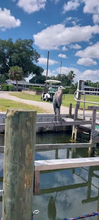 Palm Shores Mobile Home & RV Picture 5