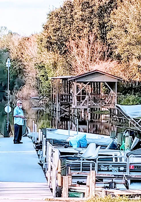 Palm Shores Mobile Home & RV Picture 9